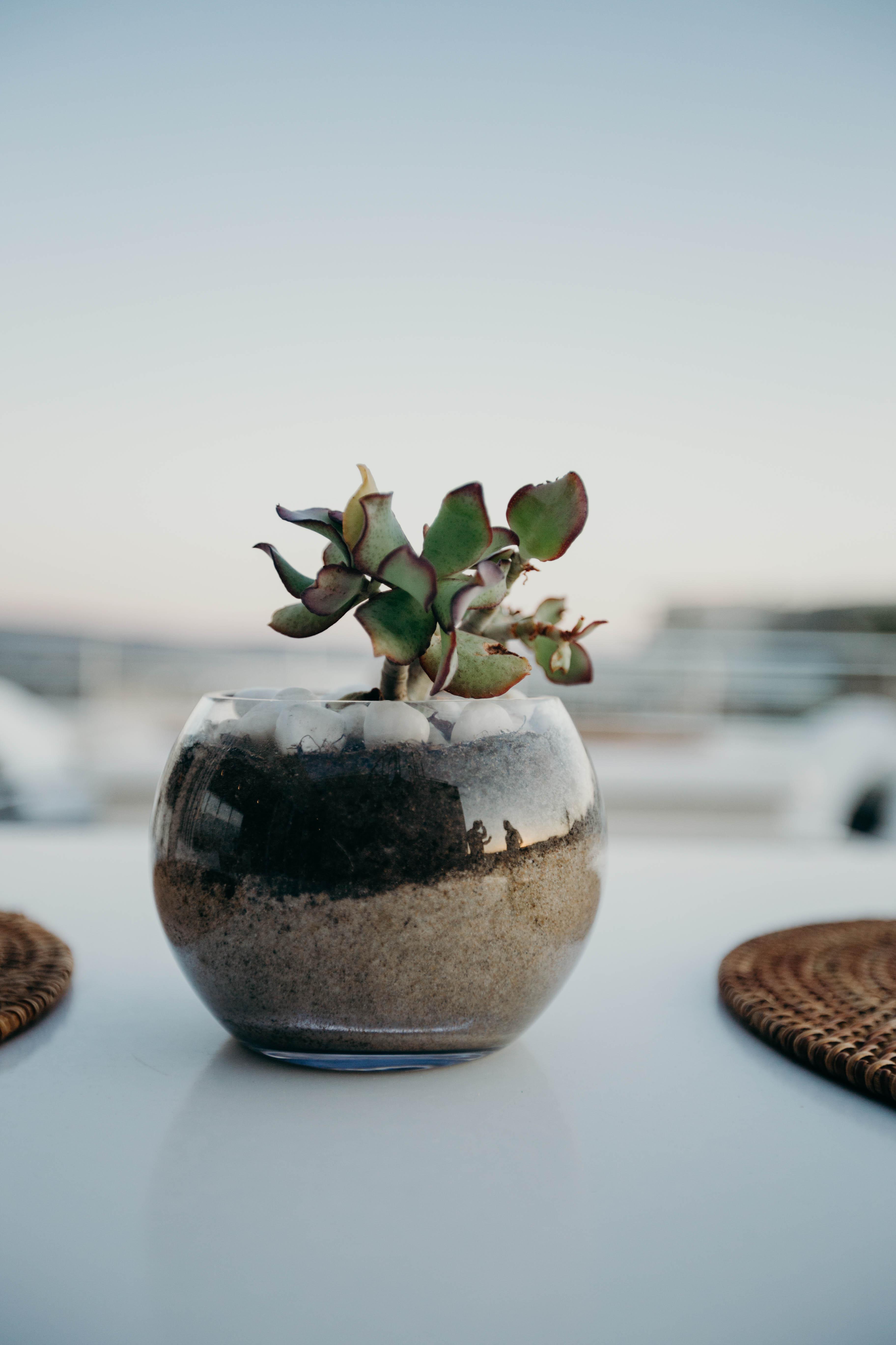 The Robberg Beach Lodge - Lion Roars Hotels & Lodges Plettenberg Bay Exterior foto