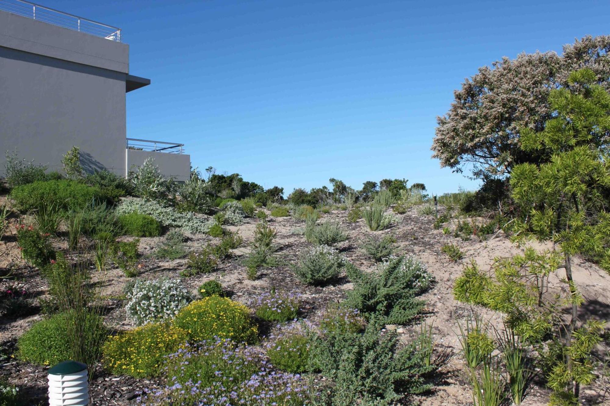The Robberg Beach Lodge - Lion Roars Hotels & Lodges Plettenberg Bay Exterior foto